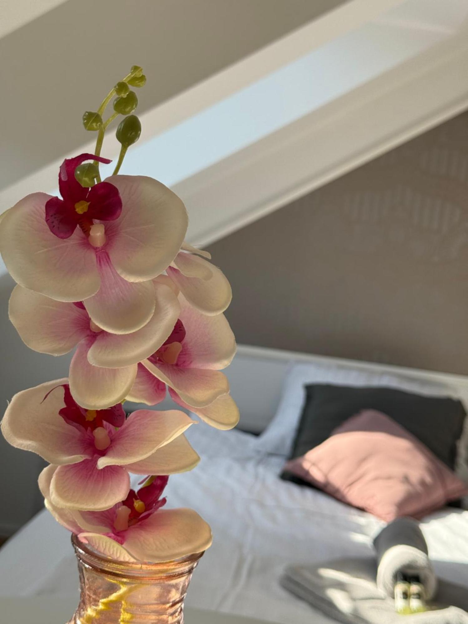Cozy Appartement Ljubljana